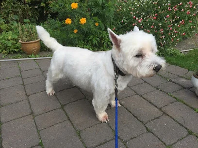 Suzanne's Shampooch Dog Grooming