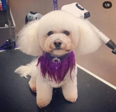 Takoda Dog Grooming