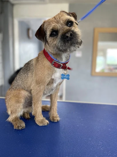 Tallys Tails Dog Groomer