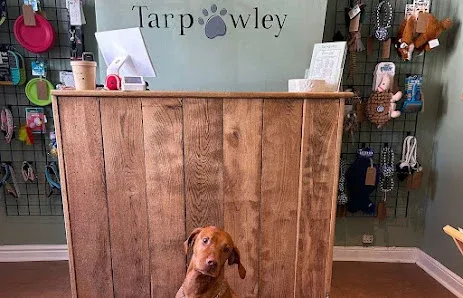 Tarpawley Dog Grooming