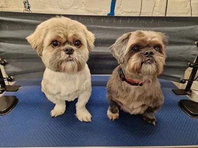 Tatty Tails Dog Grooming