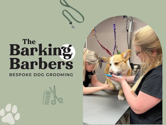 The Barking Barbers - Bespoke Dog Grooming