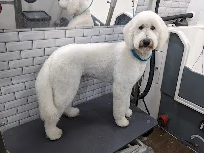 The Dog Den Mobile Groomer