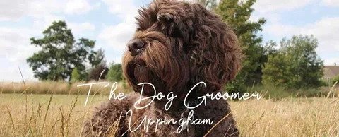 The Dog Groomer Uppingham