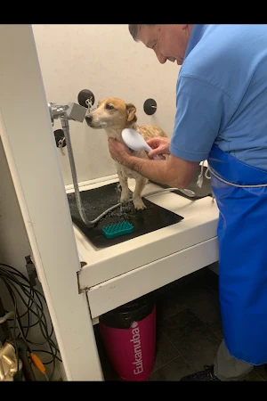 The Dog Groomer