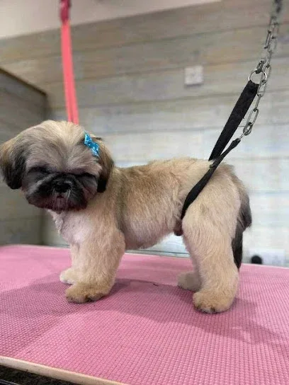 The Dog Pod