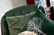The Furry Dog mother