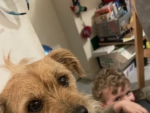 The Grooming Vroom