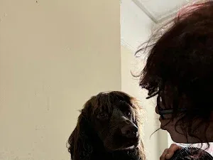 The Pit Stop Groom Room