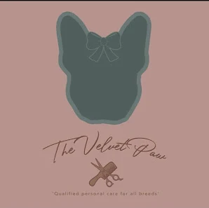 The Velvet paw
