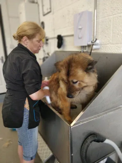 The Village Dog Barber