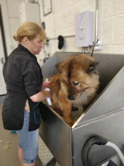 The Village Dog Barber