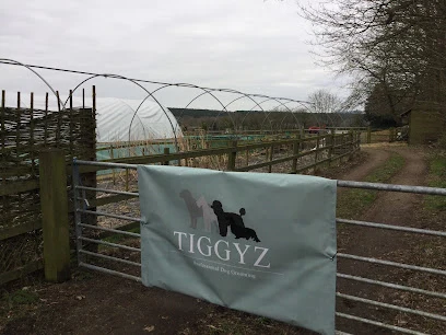 Tiggyz Ltd