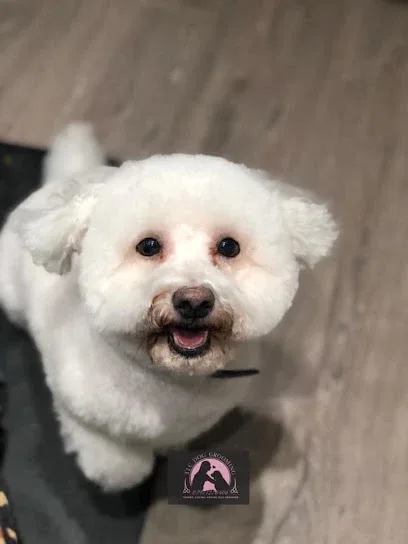 TLC Dog Grooming Eaton Socon