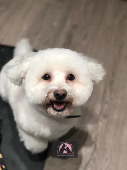 TLC Dog Grooming Eaton Socon