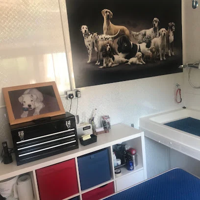 Torias Grooming Empawrioom