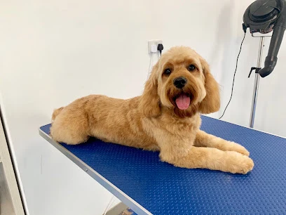 Truro Dog Grooming