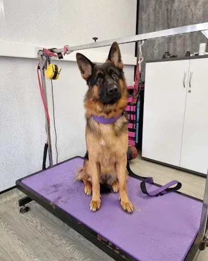 V I P Dog Grooming Services