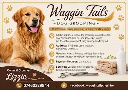 Waggin Tails Dog Grooming