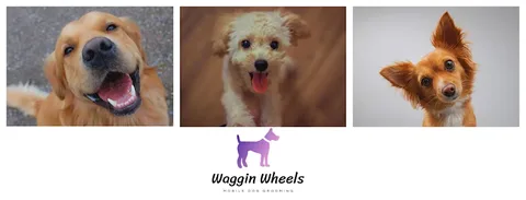 Waggin Wheels Cheshire Mobile Dog Grroming