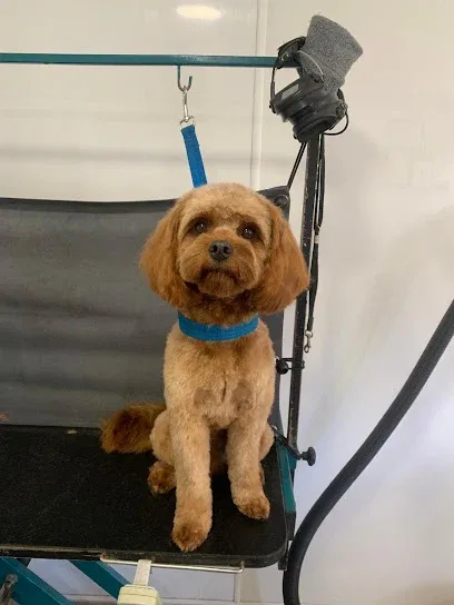 Waggs & Wellies Dog Grooming