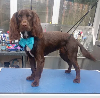 Waggy Tails Groom Room