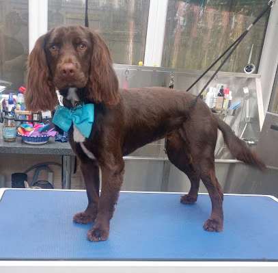 Waggy Tails Groom Room