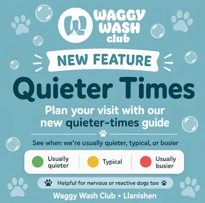 Waggy Wash Club