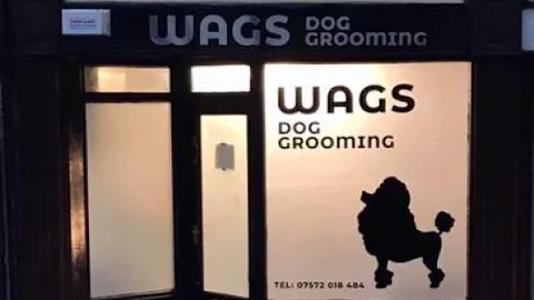Wags Dog Grooming