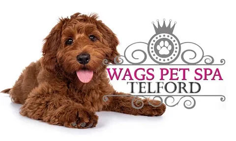 Wags Pet Spa - Dog Grooming Telford