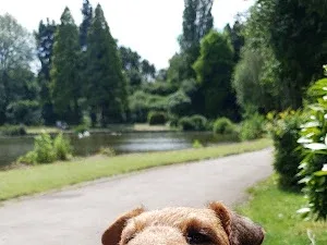 Wagtastic Dog Grooming