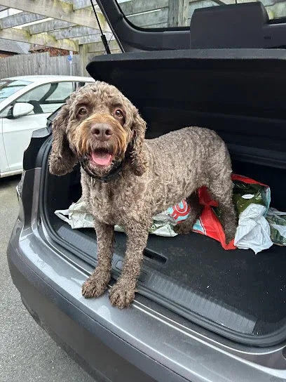 We Love Pets Telford - Dog Walker, Pet Sitter & Home Boarder