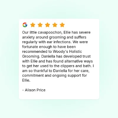 Woody's Holistic grooming