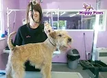 Woof Woof Derby