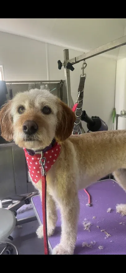 Yap Doggy Spa