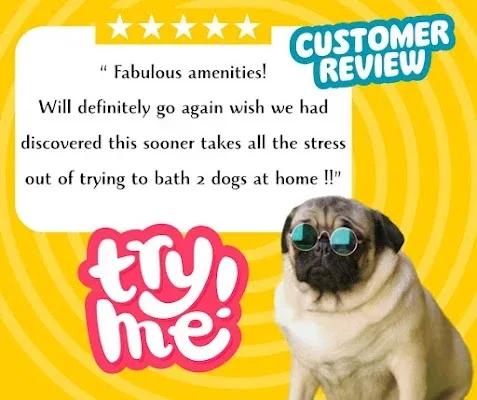 Yorkshire Dog Wash (Self-Service)